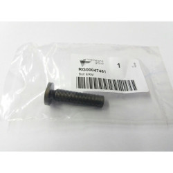 2RAU control valve screw