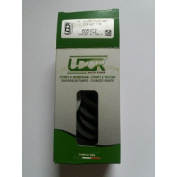 KIT 118 GSC UDOR-Pumpen, 6061C2