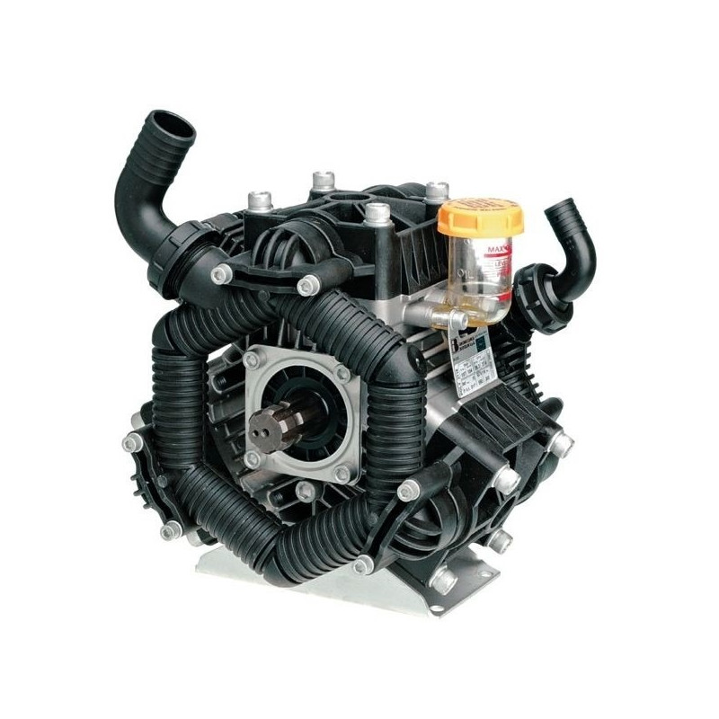 Bertolini Poly 2136 Pumpe, 626100973VS