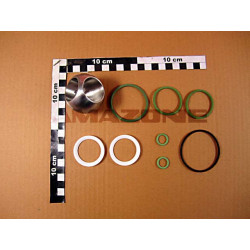 Dichtsatz fuer ZF487 923131, Amazone