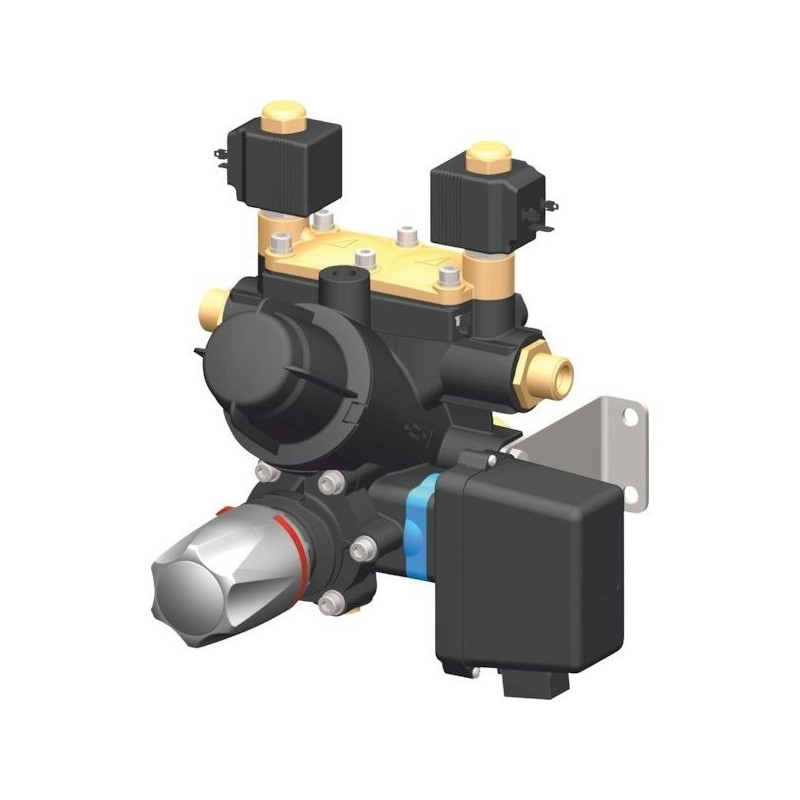 2-teiliger elektromagnetischer Verteiler - Obstgarten, 481914202, Arag