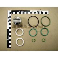 Dichtsatz fuer 933967 934746, Amazone