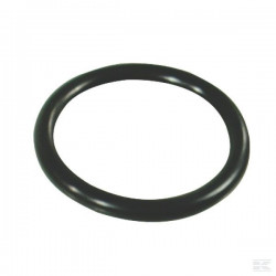 Annovi Reverberi AR 135BP Pumpen-Rückschlagventil-O-Ring, 320030