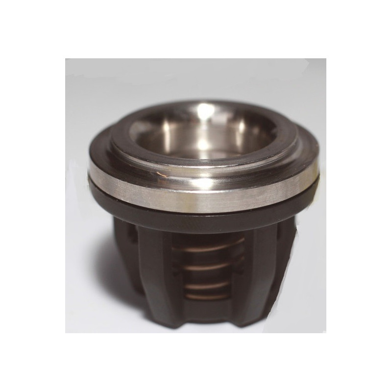 Annovi Reverberi 115/135 Pumpenventil, 759054