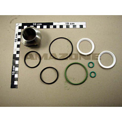 Dichtsatz für 916748 / ZF200 919347, Amazone