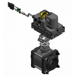 Banjo-Magnetventil EIN/AUS 2&quot;F-Gewinde mit 3-poligem Stecker, EV2042