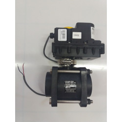 Banjo-Regelmagnetventil 2&quot;F-Gewinde, EVR204FP