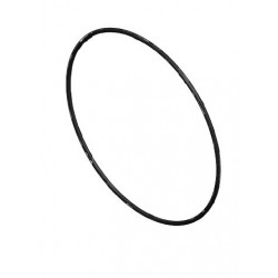 Banjo-Filterdichtung 3&quot; Viton, LS300-GV