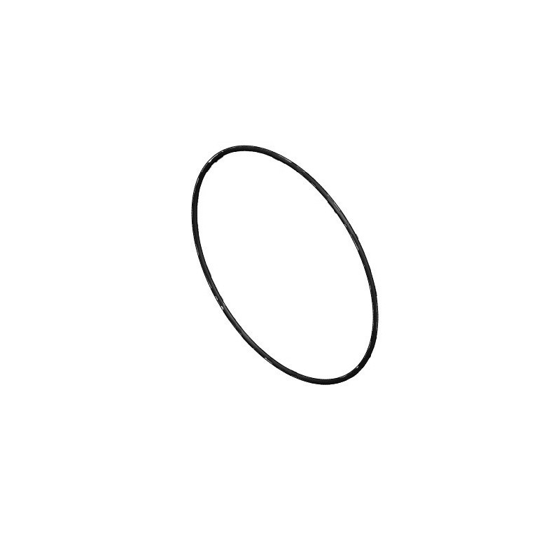 Banjo-Filterdichtung 3" Viton, LS300-GV