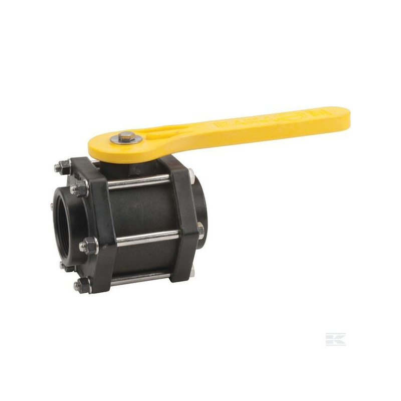 Banjo-Kugelhahn 2&quot;F BSP-Gewinde, V200FPB