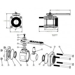2Banjo-Tankablassventil 2&quot;F-Gewinde