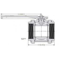 Banjo-Kugelhahn 3&quot;F BSP-Gewinde, V300B