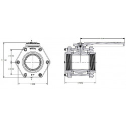 Banjo-Kugelhahn 3&quot;F BSP-Gewinde, V300FPT