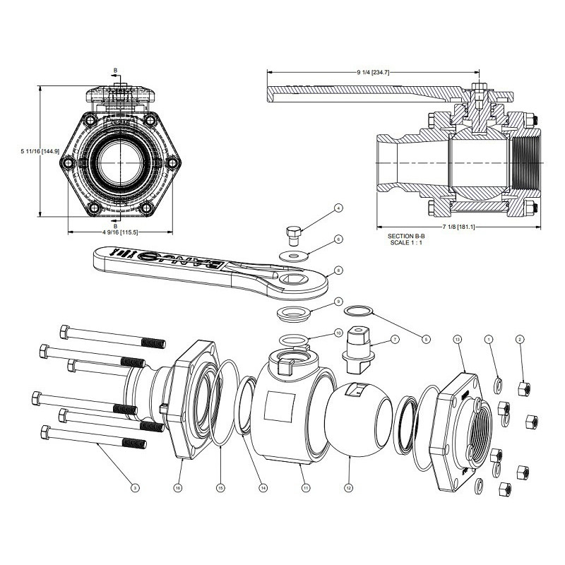 Banjo-Kugelhahn, Gewinde 2&quot;F, Camlock 2&quot;M, VF200FP