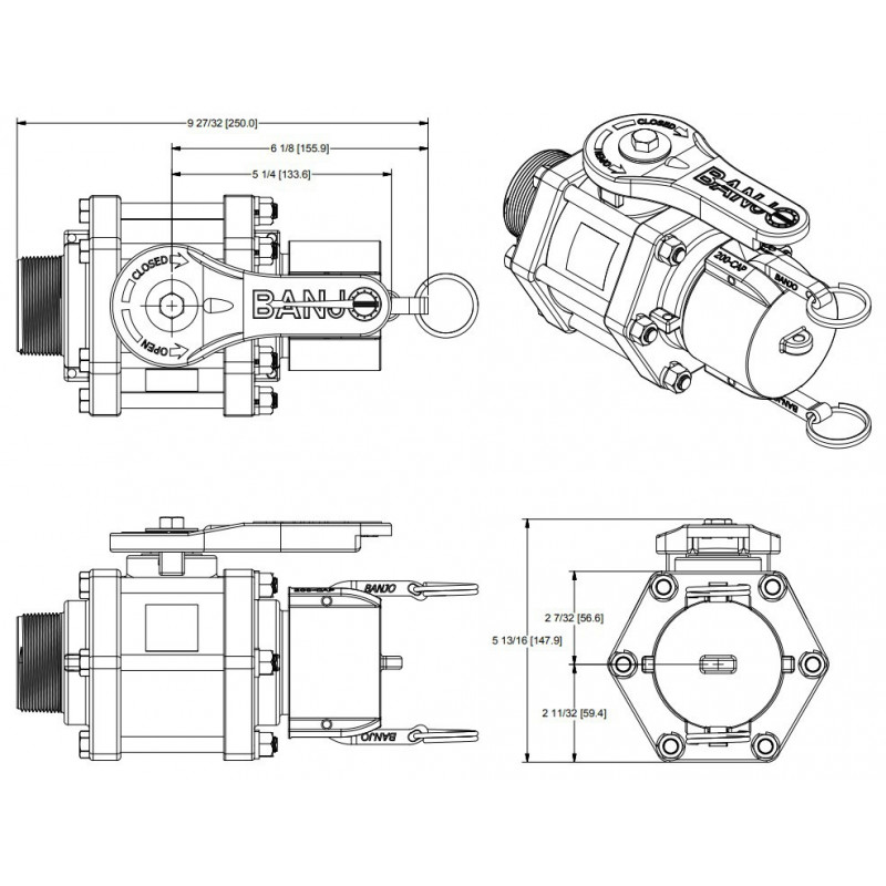 Banjo-Kugelhahn Gewinde 2&quot;M Camlock 2&quot;M mit Kappe, VFMT200FPSHA