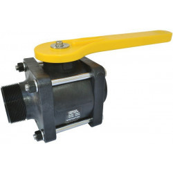 Banjo-Kugelhahn Gewinde 2&quot;MF FP, VMT204FP