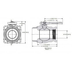 Banjo-Kugelhahngewinde 3&quot;F Camlock 3&quot;M - Innengewinde 2&quot;F, VSFMT334R