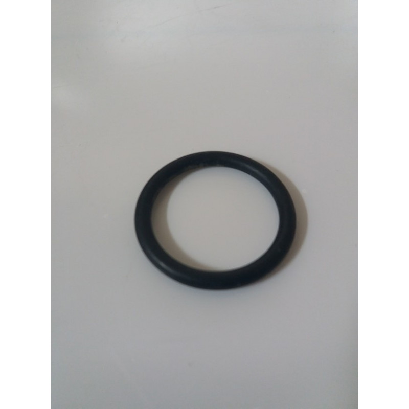 O-Ring für Pumpenverteiler Udor Zeta 120/140, 1101L5