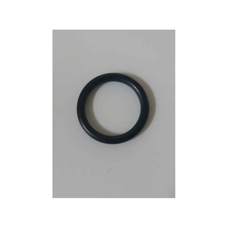 O-Ring für Pumpenverteiler Udor Zeta 85/100, 110149