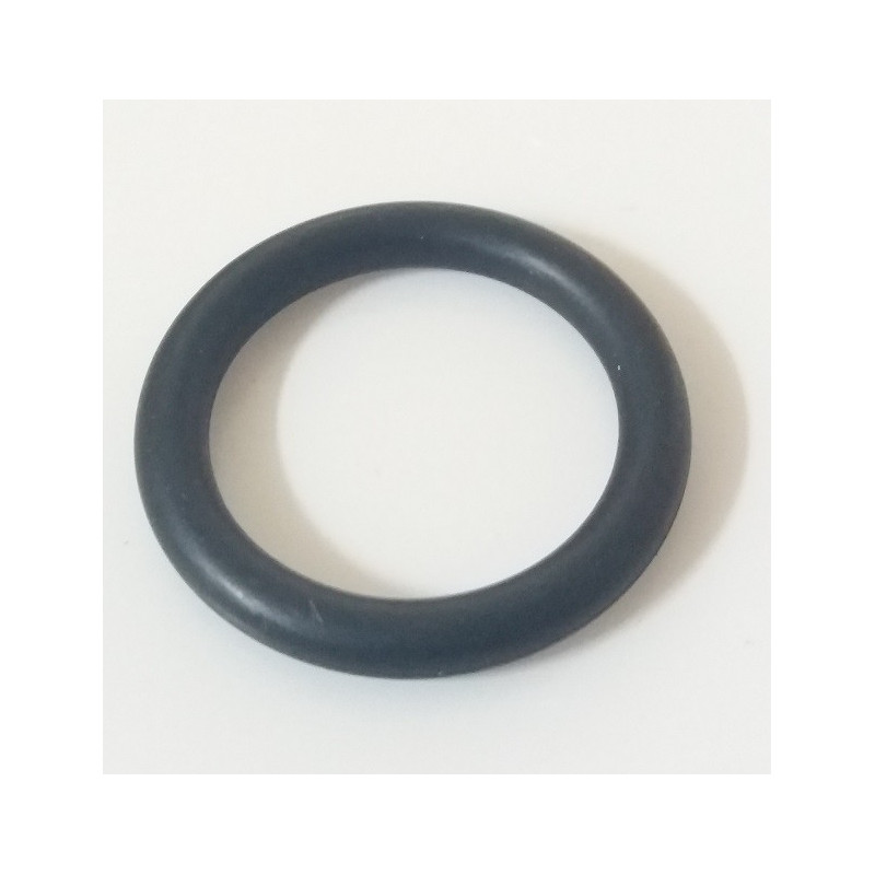 O-Ring für Pumpenverteiler Udor, 110125