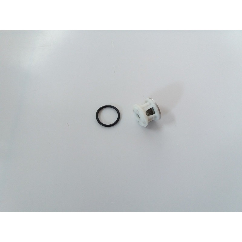 Zawór pompy MP 20 - MP 30 12200021 Comet