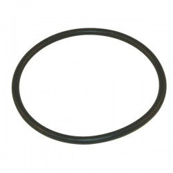 Saugfilterdichtung 2" Arag, 316000050