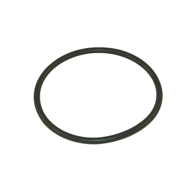 Uszczelka filtra ssącego 2" Arag 126,37x6,99 EPDM, 316000050