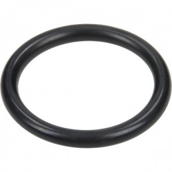 O-ring 31,Sx4,25 Annovi Reverberi 250 bp, 680070