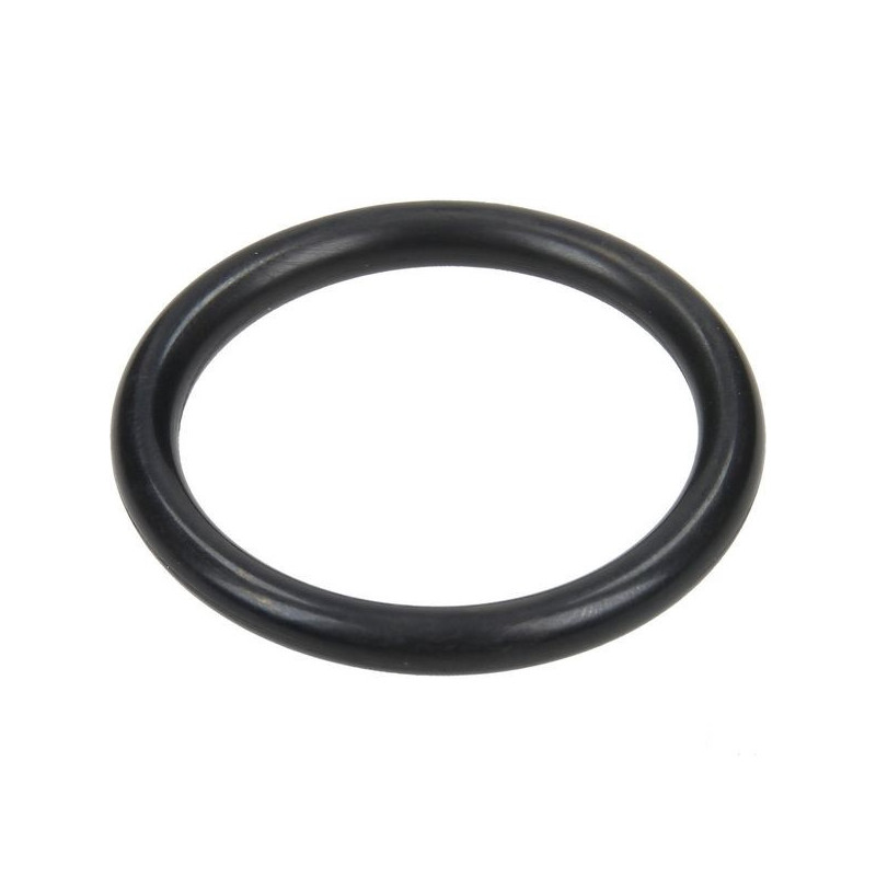 O-ring 31,5x4,25 do zaworka pompy Annovi Reverberi 250 BP, 680070