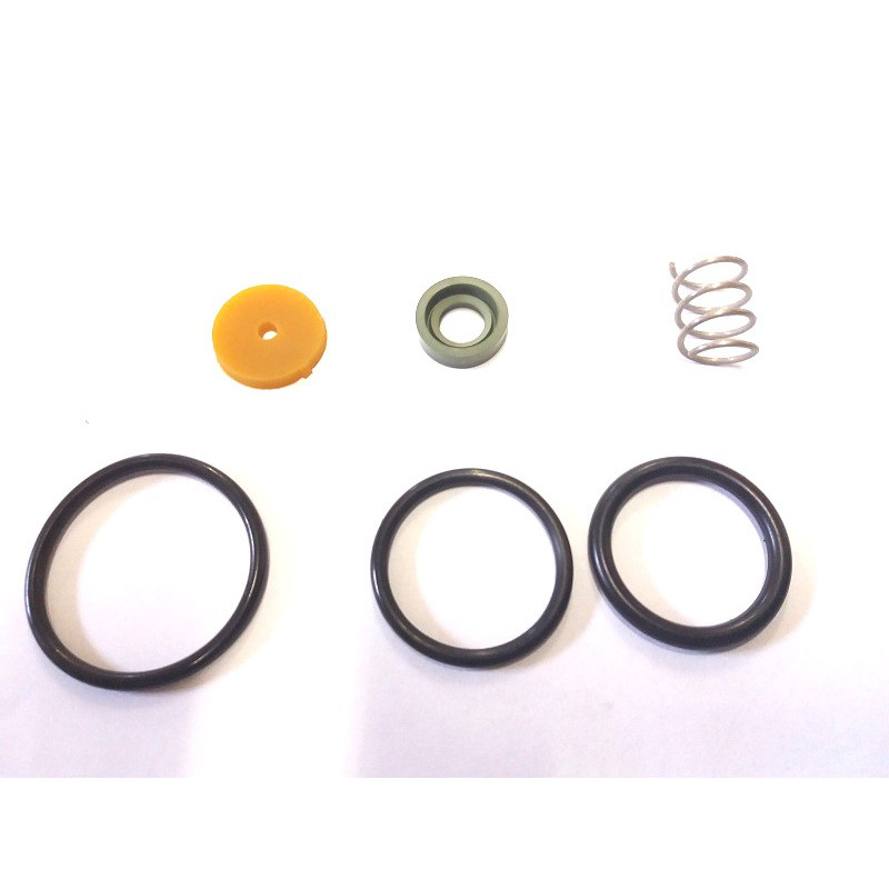 Dammann Pneumatic Valve Repair Kit, 54593