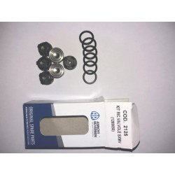 2Annovi Reverberi Pumpenventil-Kit – KIT2125