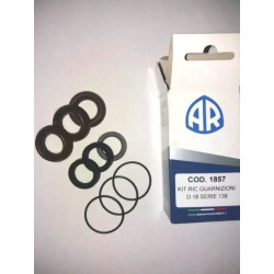 2AR RCW Pumpenkolbendichtungssatz - KIT1857