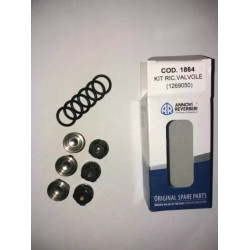 2Annovi Reverberi Pumpenventil-Kit – KIT1864
