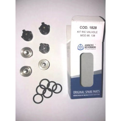 2Annovi Reverberi RKV/RRV Pumpenventil-Kit – KIT1828