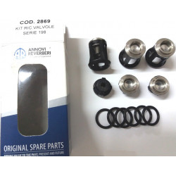 2Annovi Reverberi Pumpenventil-Kit – KIT2869