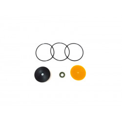 2Agrio Main Pneumatic Valve Repair Kit