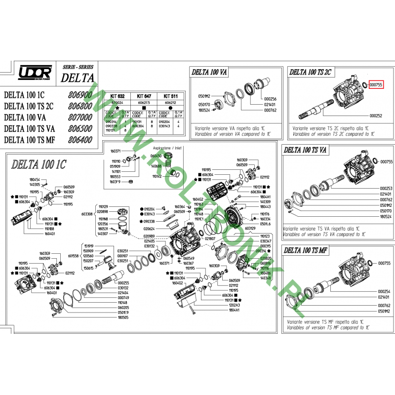 Udor Delta 100 TS 2C Pumpendichtung, 000755