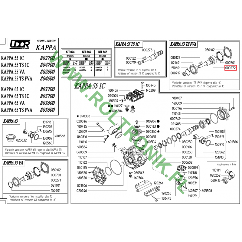 Udor Kappa 55 TS FVA Pumpenwelle, 000272