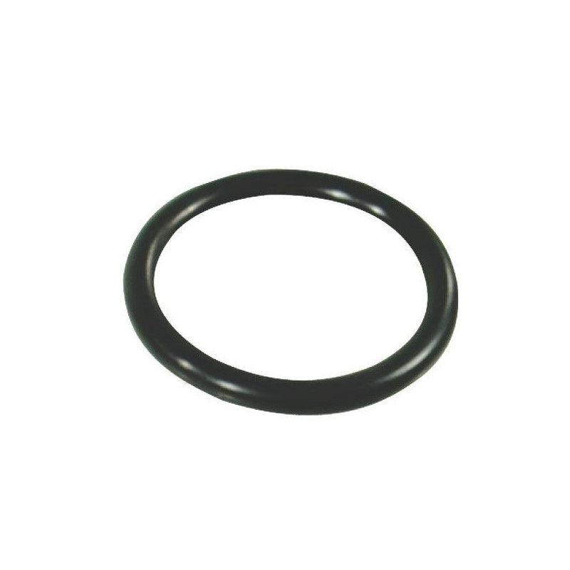 O-Ring 28,25x2,62 Annovi Reverberi 115/135 BP Pumpe, 390291
