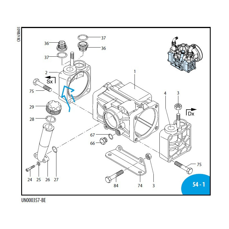 VITON AR50 650081 Annovi Reverberi Membran