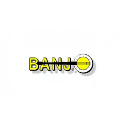 Banjo-Rückschlagventil Flansch 1&quot;, MCV100NS