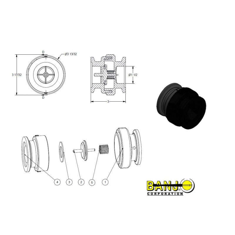 Banjo-Rückschlagventilflansch 2&quot;, MCV205