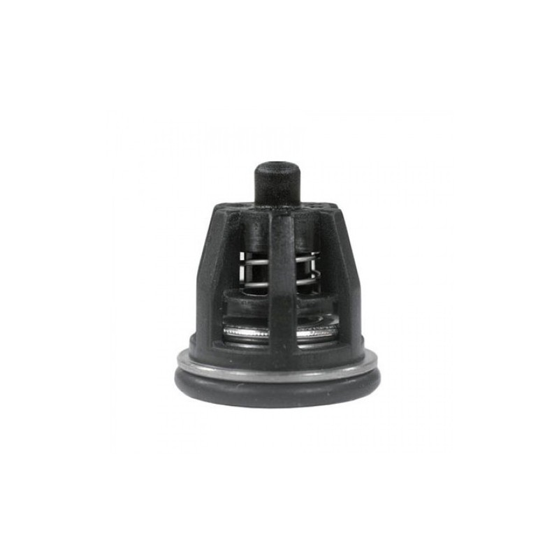 P/ZWR-Ventil für 20 SR Bertolini-Pumpe, 949828973