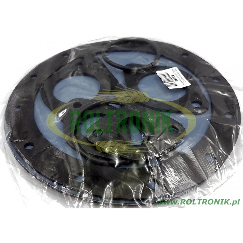 Dammann 11000098 Reparatursatz für Regelventile