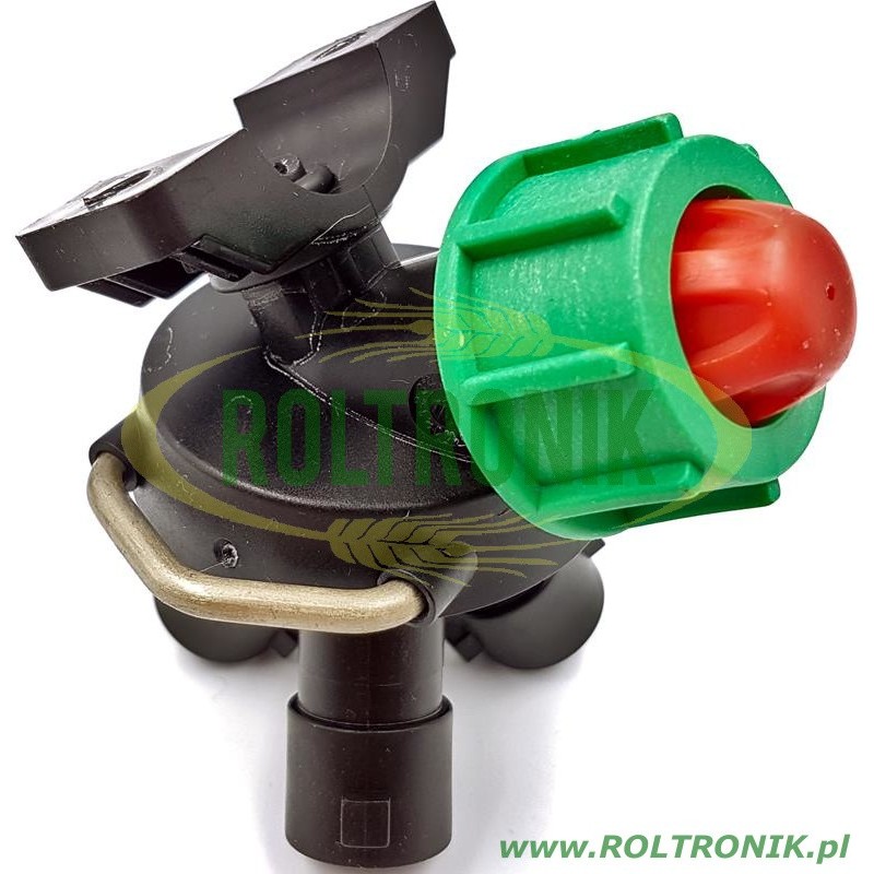 Geoline-Kopf (3) D.22 F.7, 11114