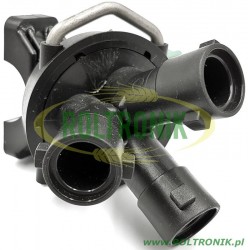 2Geoline-Kopf (3) D.22 F.7