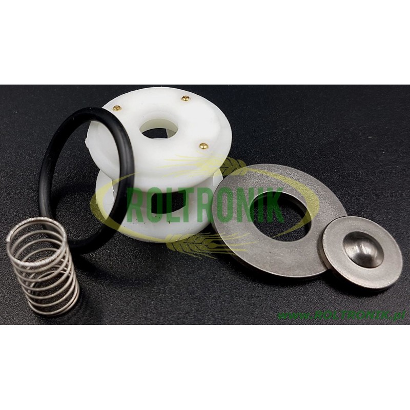 Comet BP20/15 Pumpenrückschlagventil, 12200033