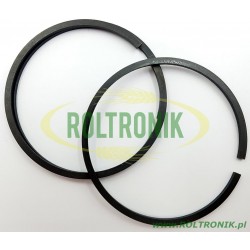 Piston ring for Udor Zeta 200, 300 pump, 150907