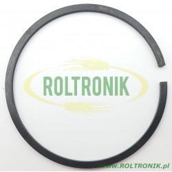 Kolbenring der Pumpe Udor Delta 100, 150909