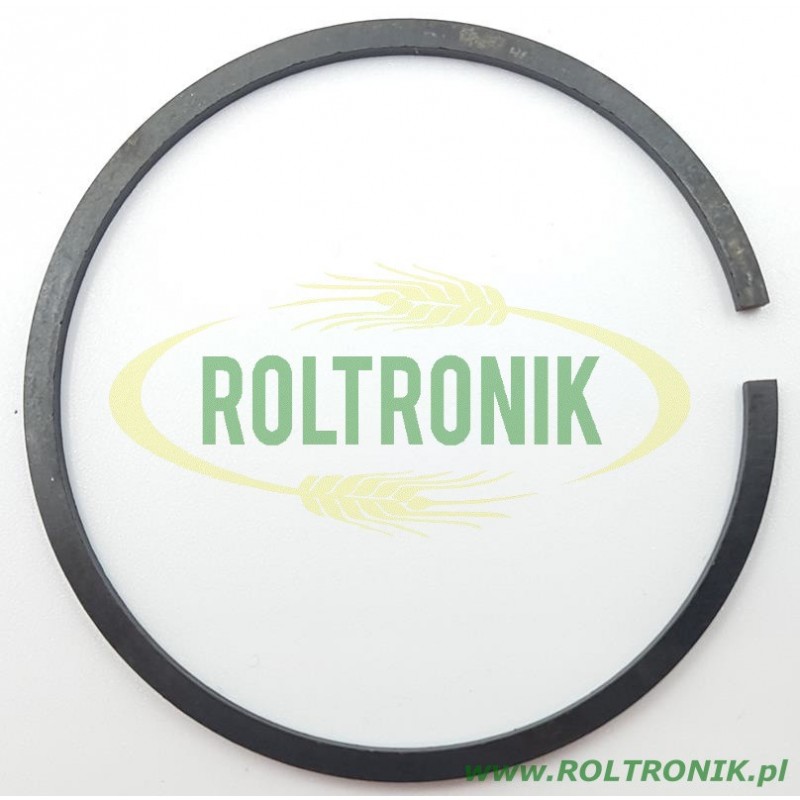 Kolbenring der Pumpe Udor Delta 100, 150909